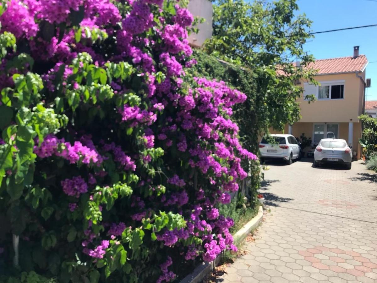 Ferienwohnung Lipo Je Zadar Exterior foto